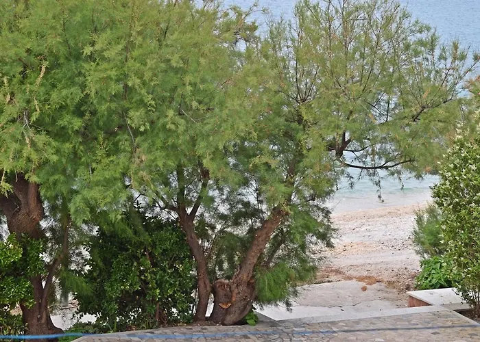 Rooms&apartments Star 아파트 *