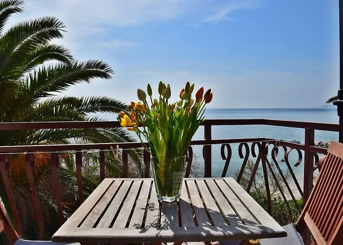 Appartamento Rooms&apartments Star *